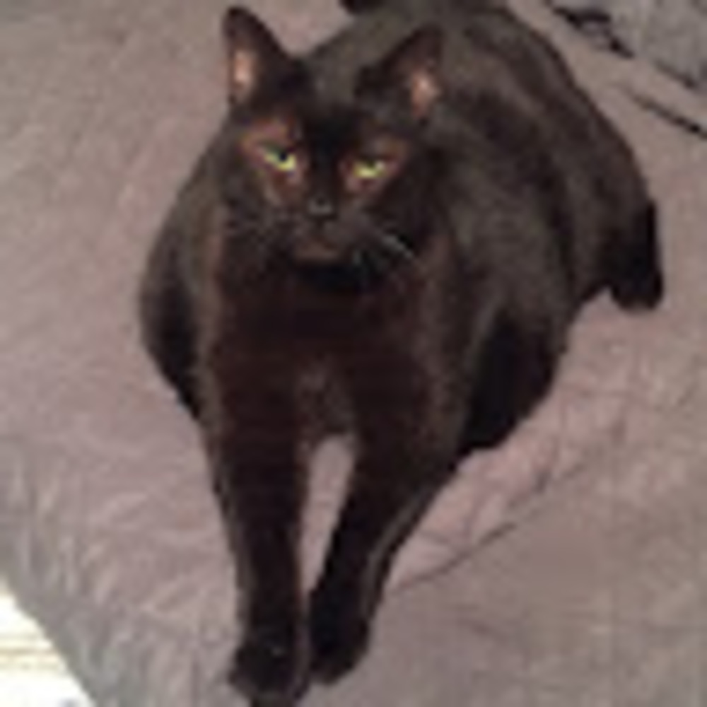 Meet your Posher, Jennifer